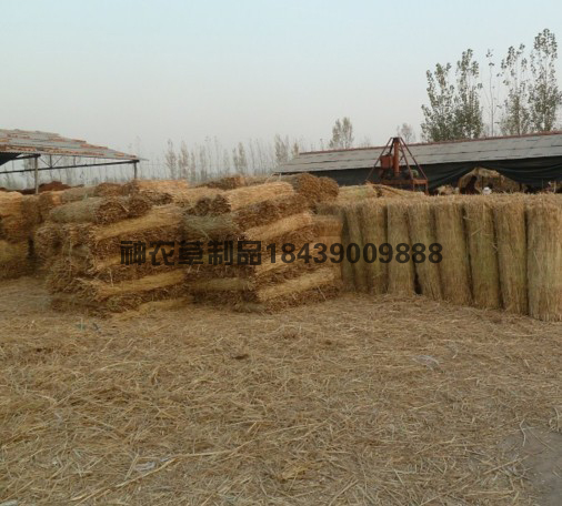 待運(yùn)輸?shù)牟莺?>
					</div>
					<div   id=