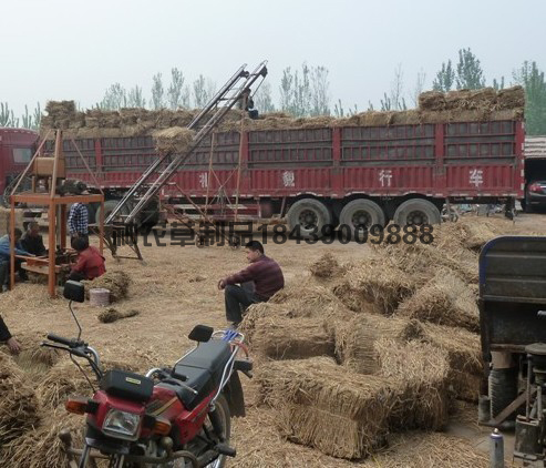 裝車(chē)中的草袋
