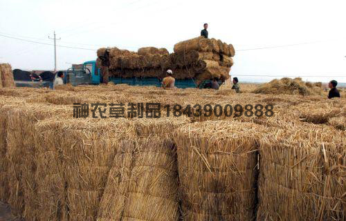 發(fā)貨現(xiàn)場