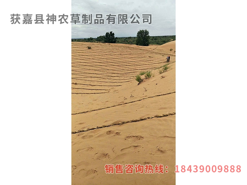 風(fēng)沙專用草制品