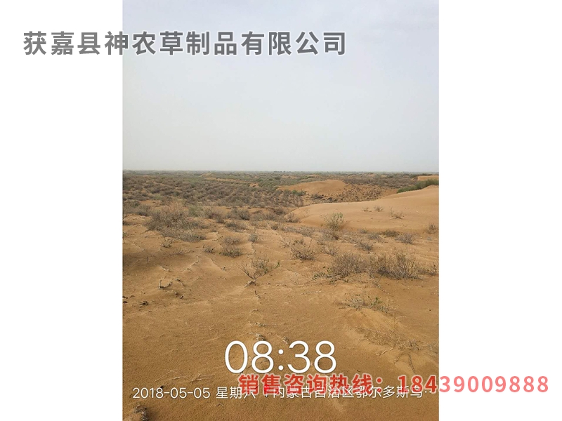 風(fēng)沙專用草制品