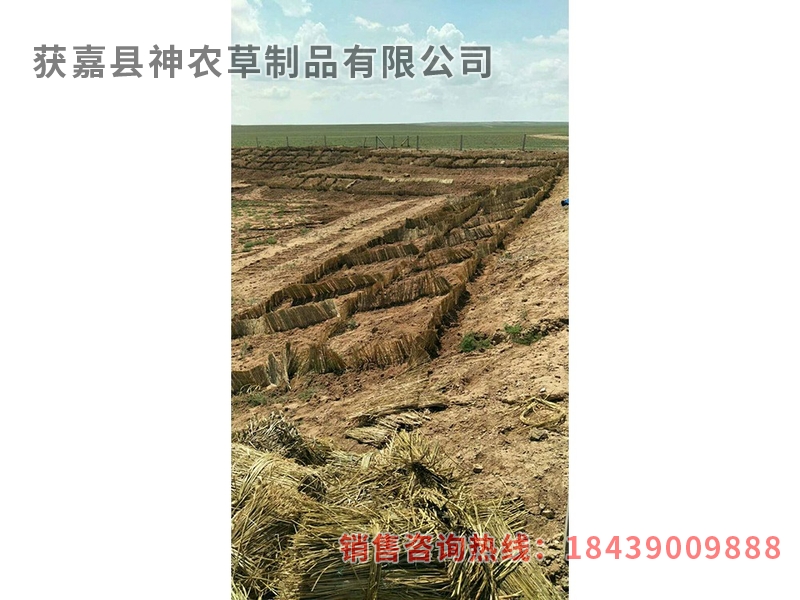 風(fēng)沙專用草制品