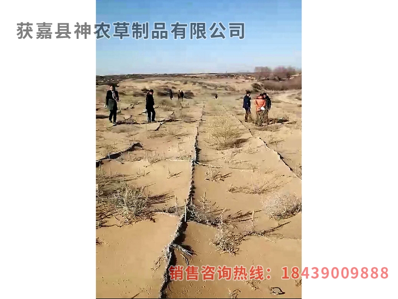 風(fēng)沙專用草制品