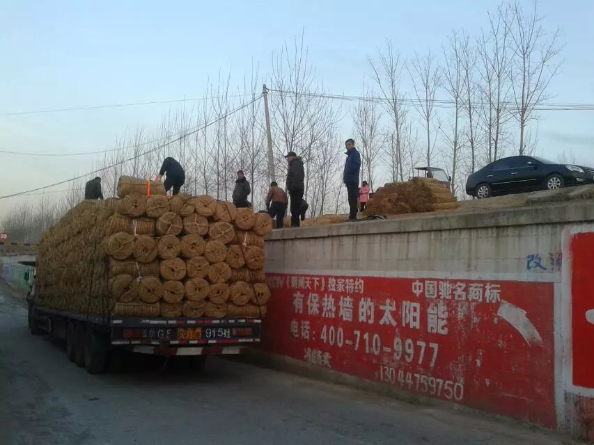 發(fā)貨現(xiàn)場