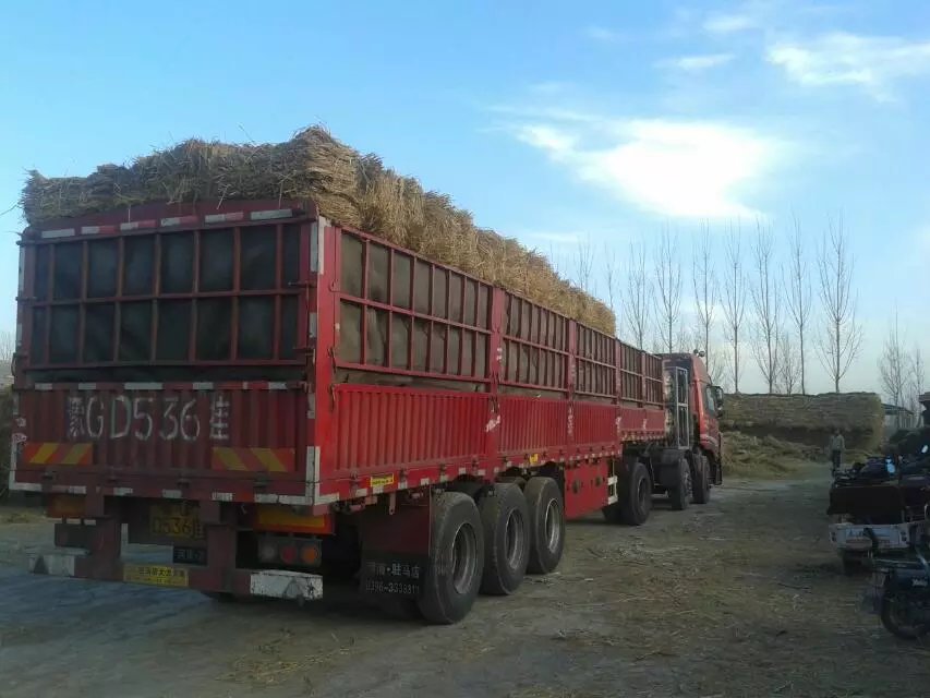 發(fā)貨現(xiàn)場