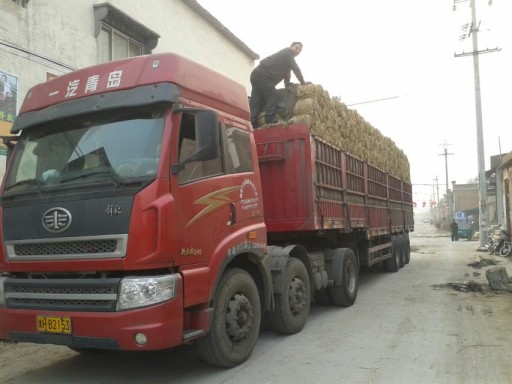 發(fā)貨現(xiàn)場