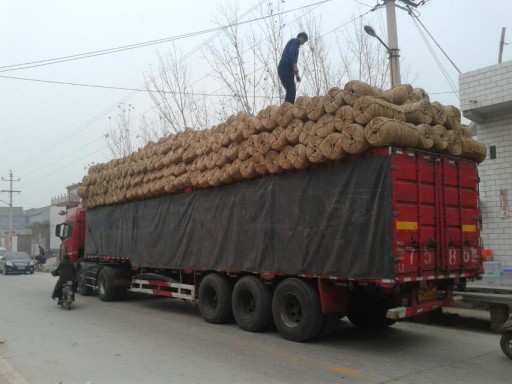 發(fā)貨現(xiàn)場(chǎng)