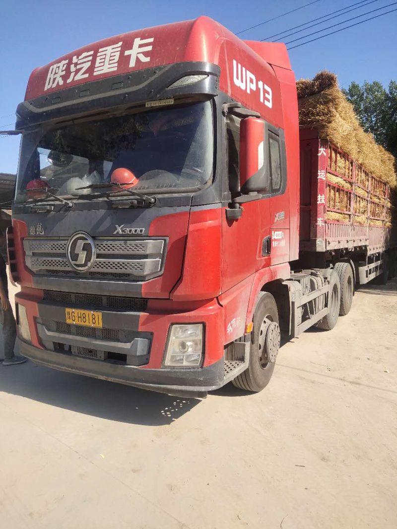 U型草支墊發(fā)貨現(xiàn)場(chǎng)