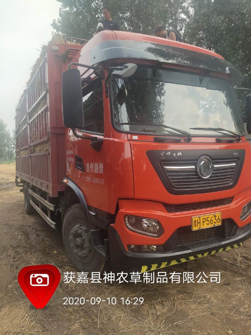 U型草支墊發(fā)貨現(xiàn)場(chǎng)