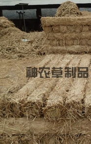 給樹(shù)干綁草繩有什么影響？