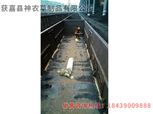 草簾廠家 草簾廠家