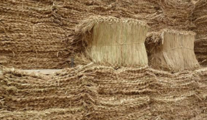 防汛草袋 防汛草袋