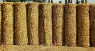 草簾廠家 草簾廠家