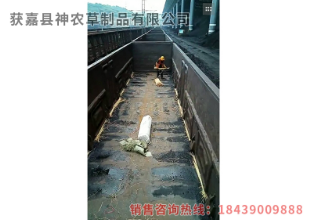 草簾廠家 草簾廠家