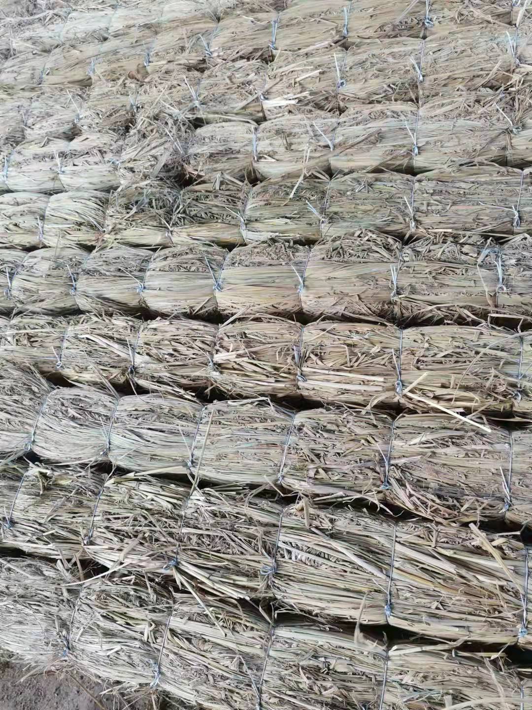 微信圖片_20220311180644