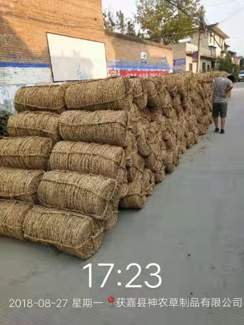 微信圖片_20220311181055