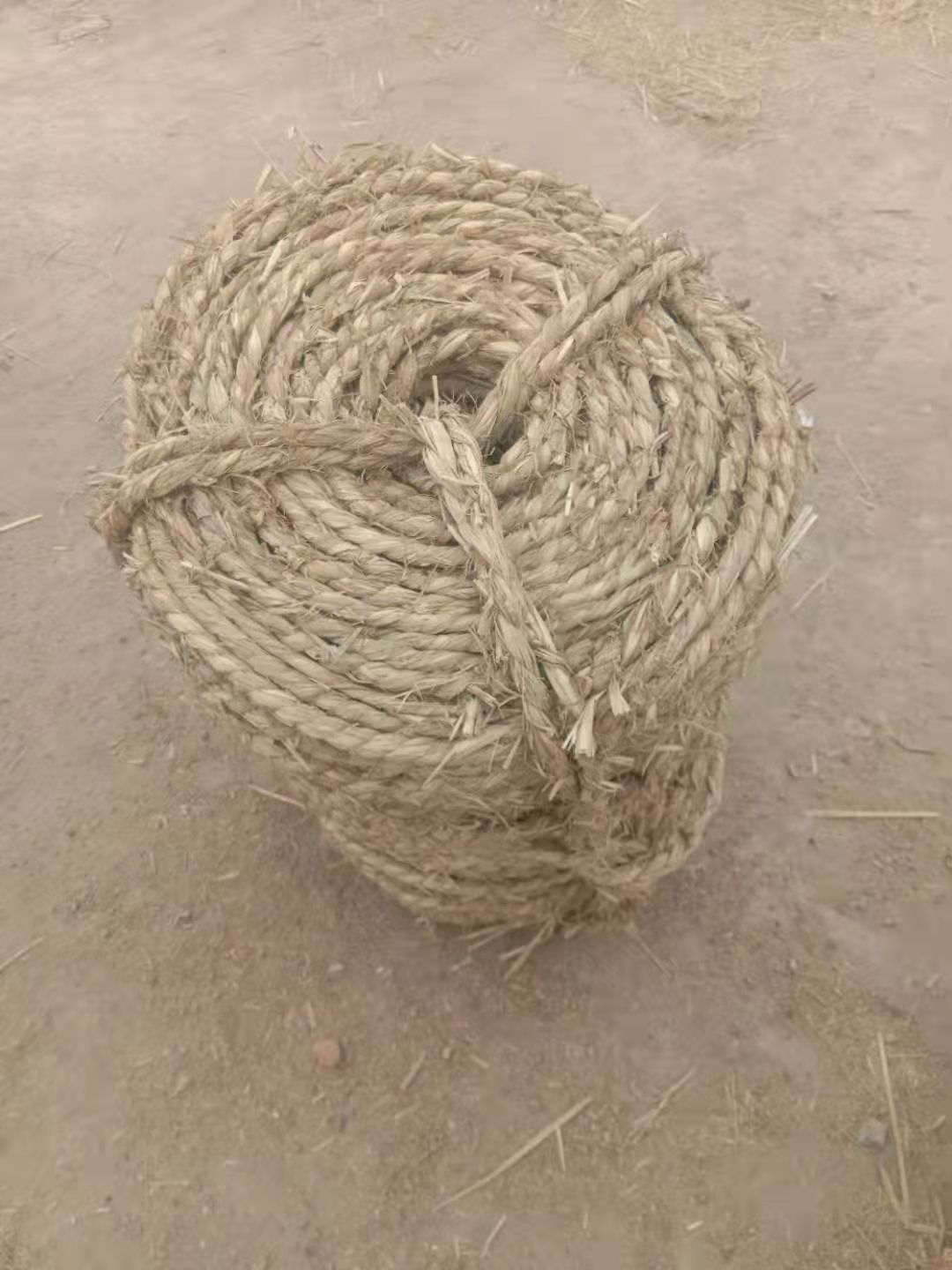 微信圖片_20220311181100