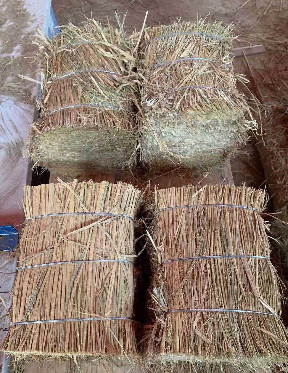 微信圖片_20220311181729