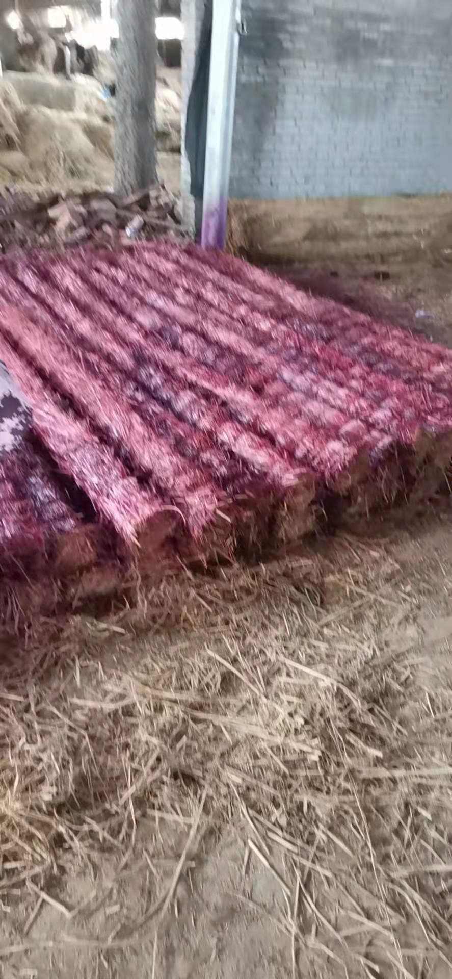 微信圖片_20220328142302