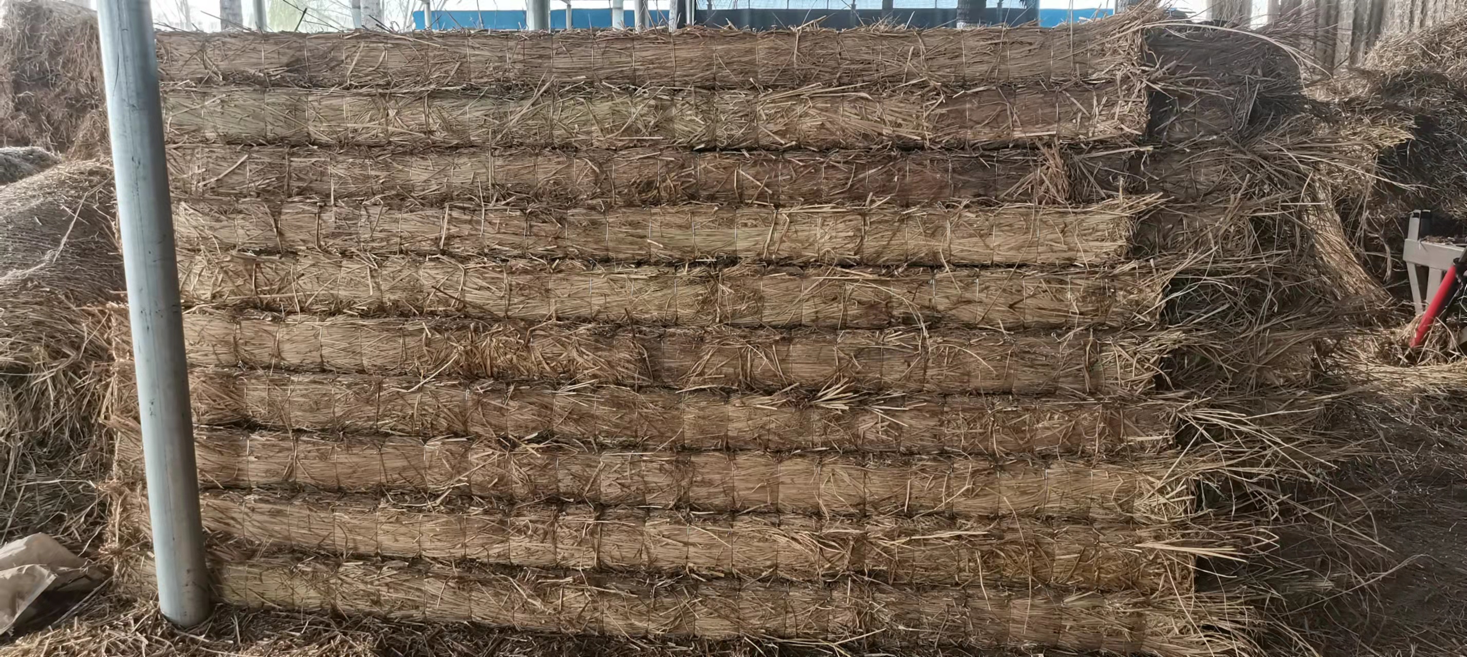 微信圖片_20220328142322