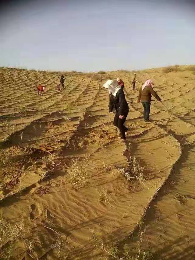 微信圖片_20220408141808