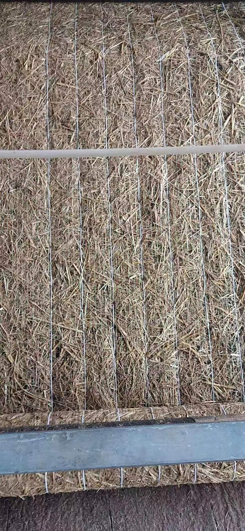 微信圖片_20240322152458